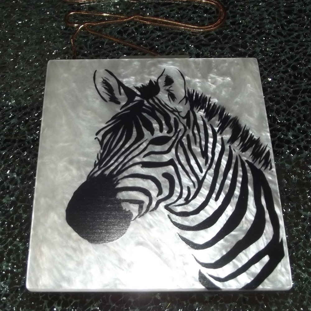 mini  BAG/CLUTCH/CROSSBODY ACRYLIC/LUCITE